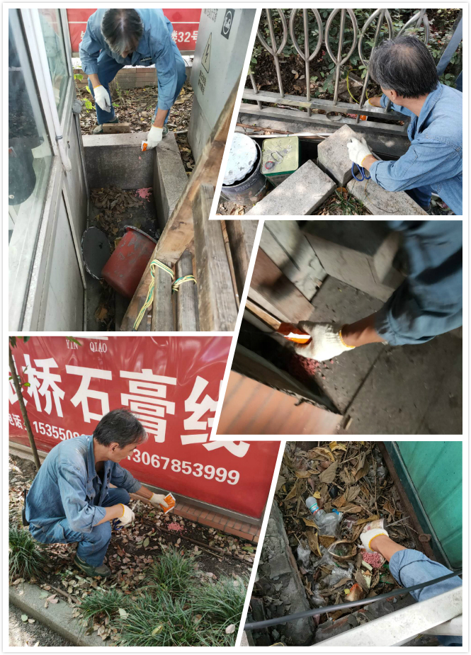 利记官网平台入口市场开展冬季灭鼠