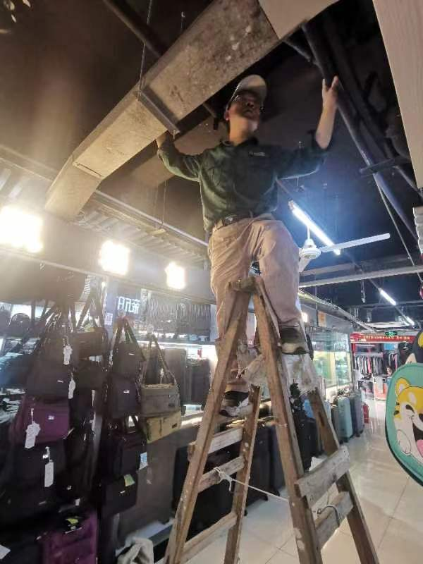 夏日除四害，，，，，钱江在行动