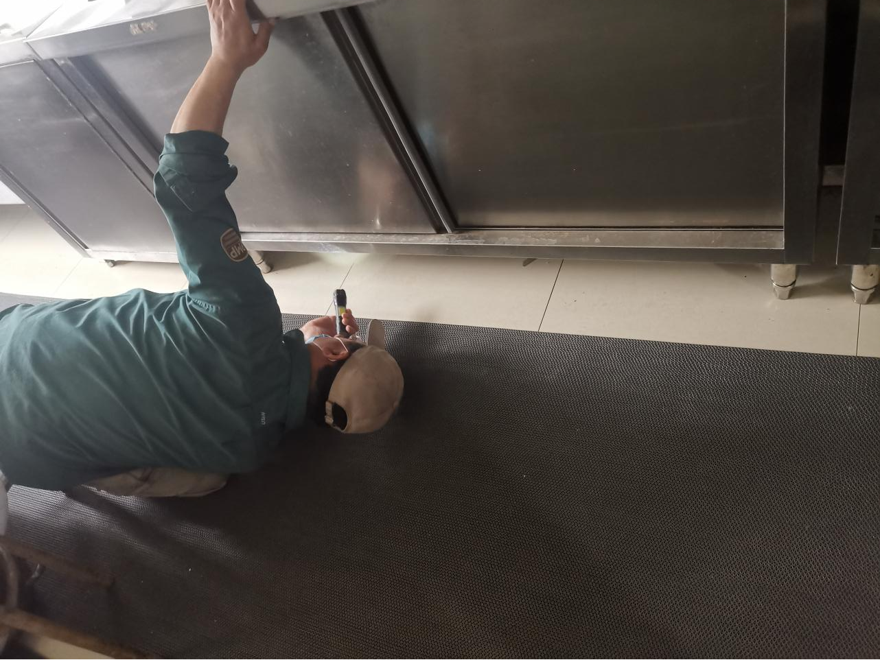 灭除“四害”，，，，，守护康健