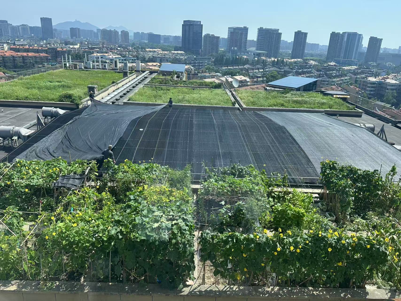 水晶城巧施”遮阳术“，，，，，，，，为节能降耗注入清凉动力