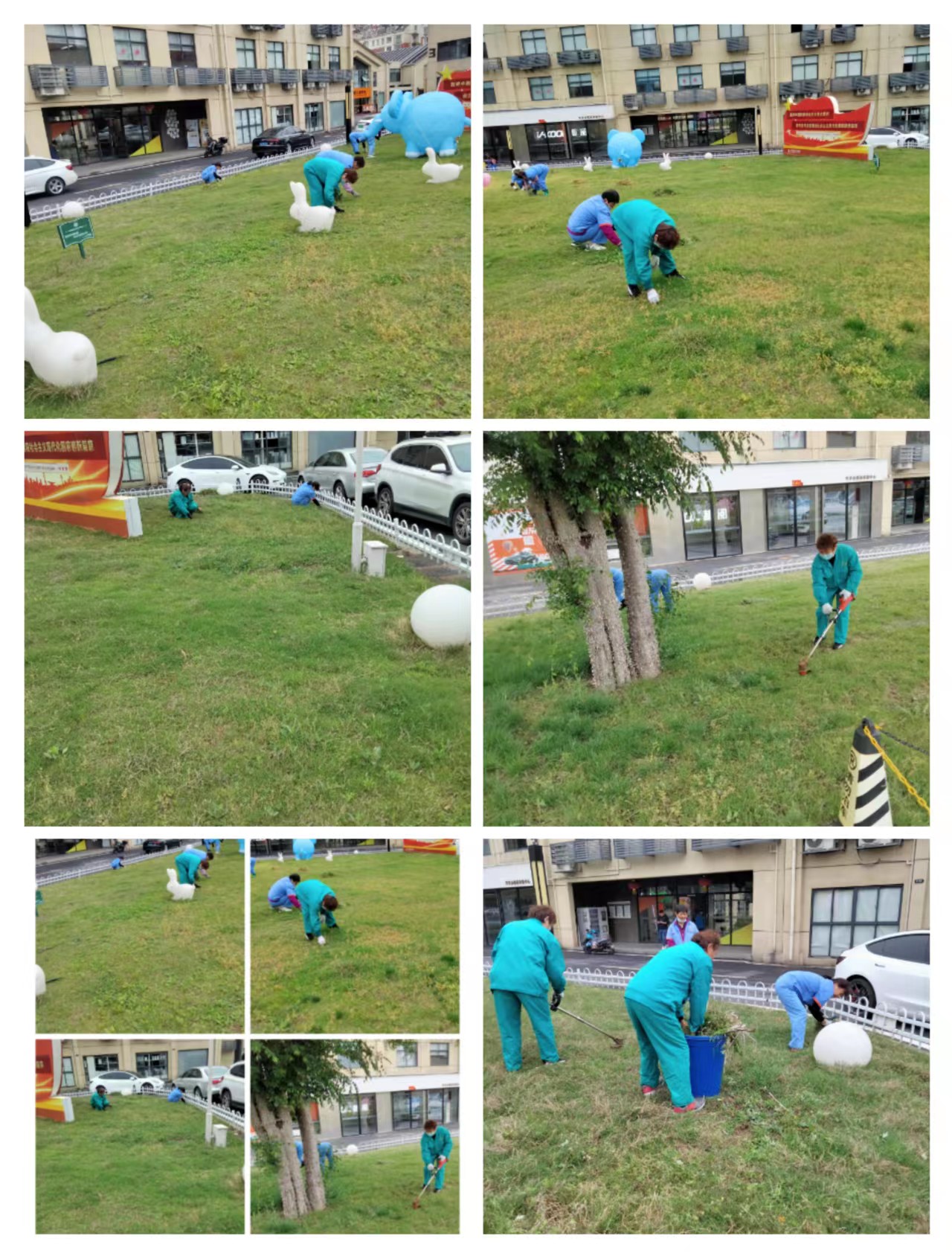 庐阳利记官网平台入口文创园开展绿化养护事情