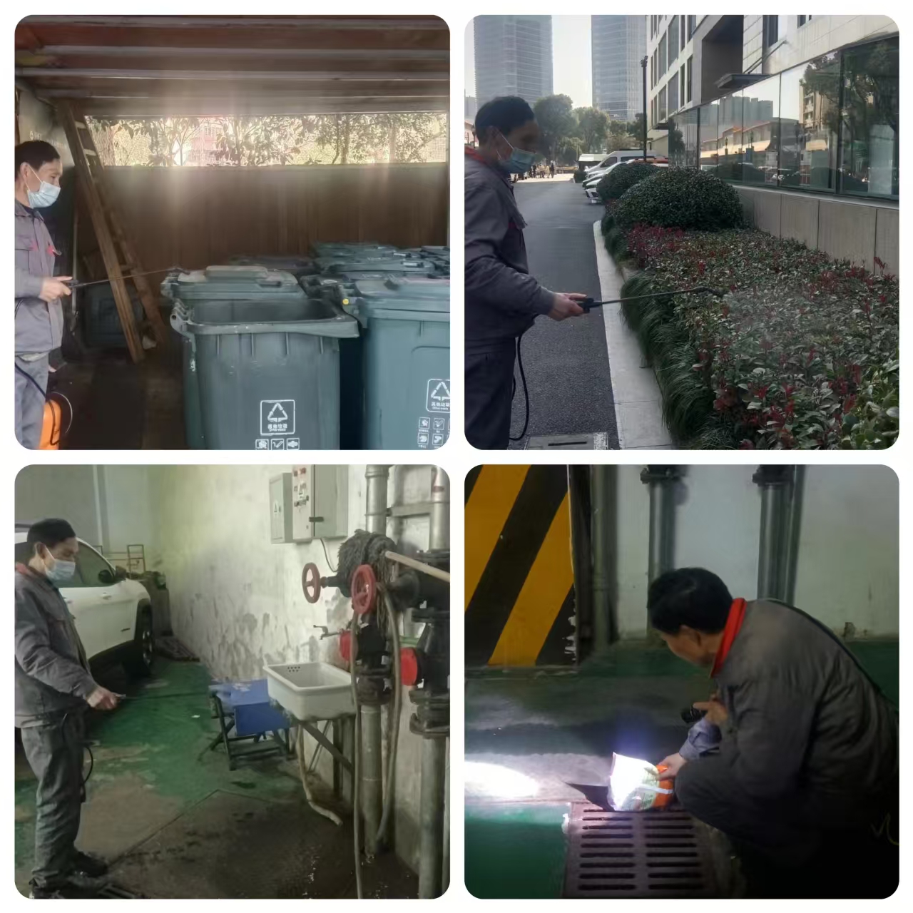 水晶城开展春节后除四害消杀事情