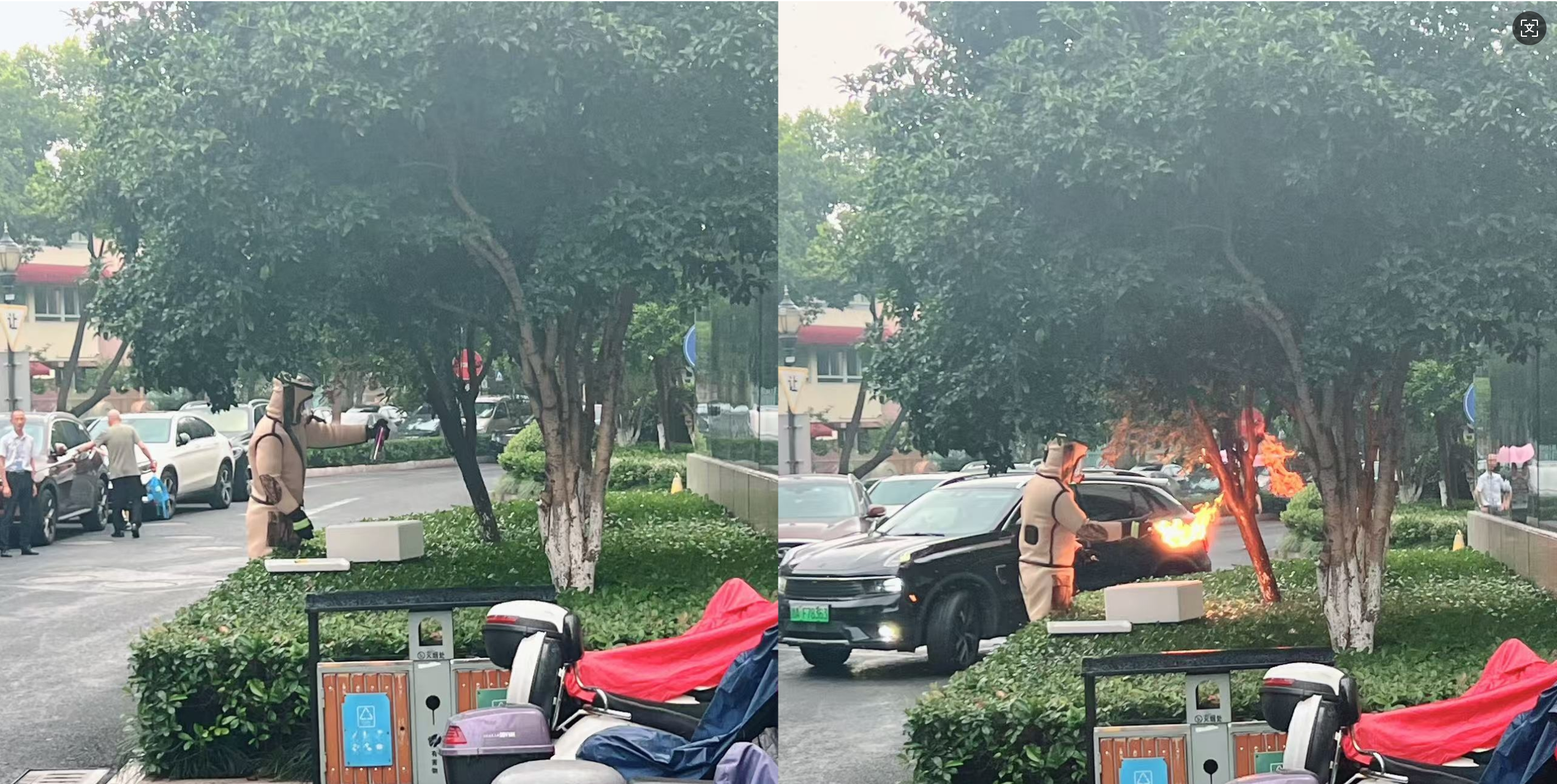 清静守护零距离，，，，，，，水晶城快速处置惩罚外围蜂群隐患