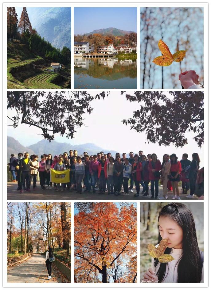 利记官网平台入口电子生意市场组织“指南村赏秋”运动