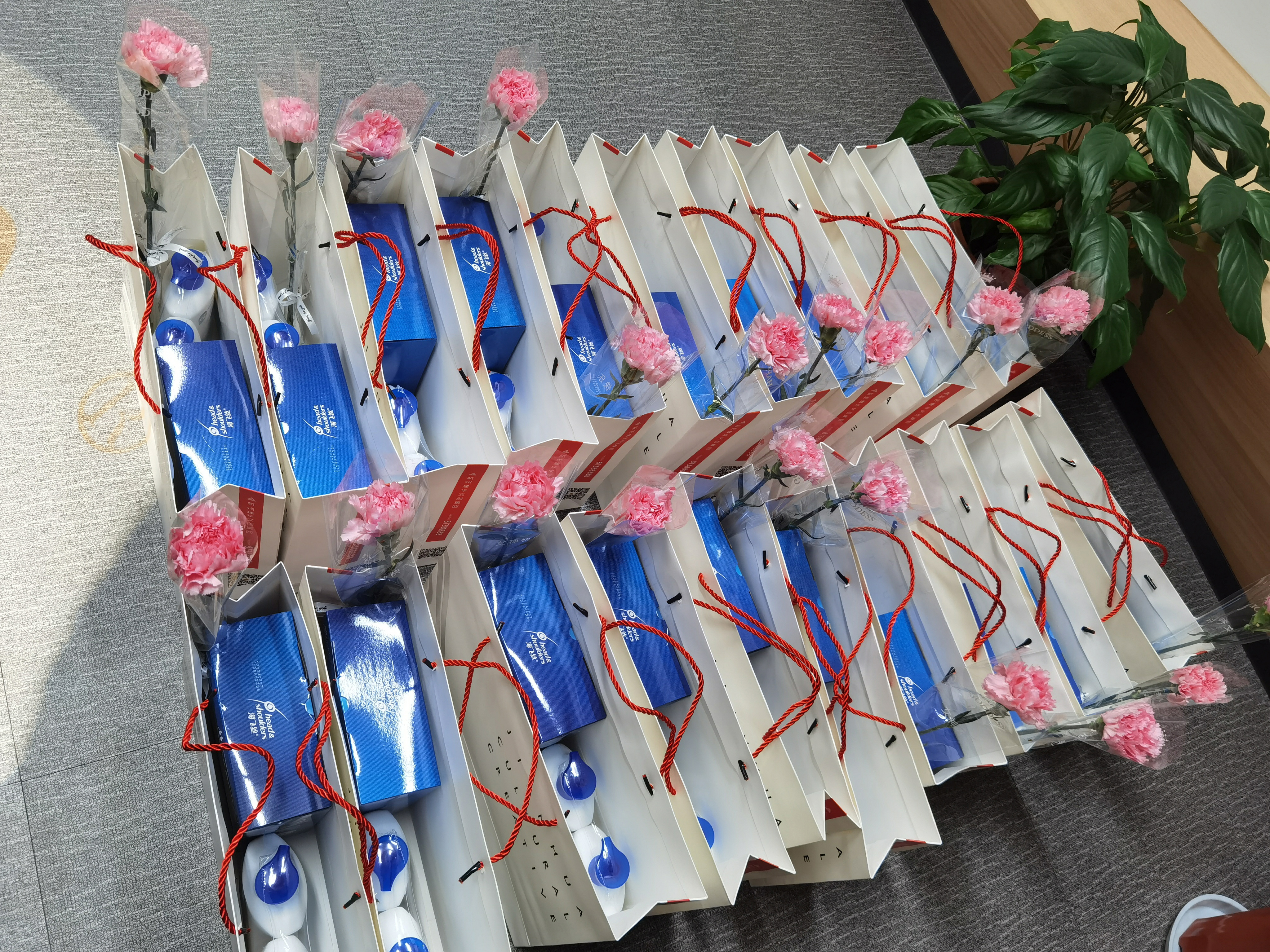 情暖三八 利记官网平台入口文创集团工会起劲开展送温暖运动 