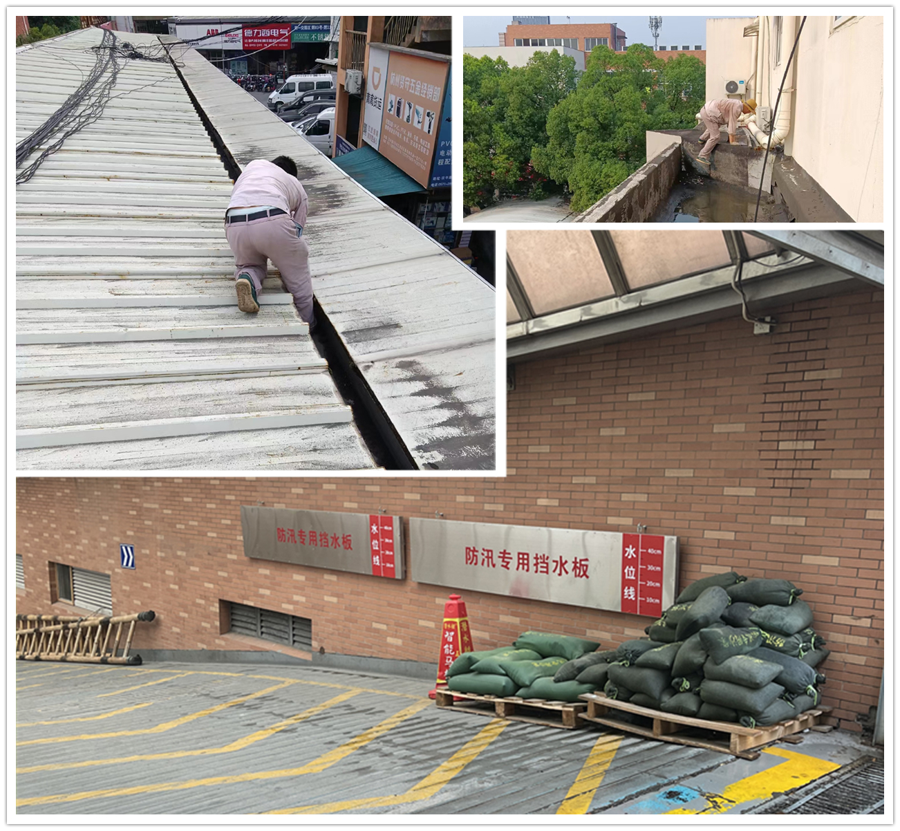 应对台风“梅花” 利记官网平台入口市场在行动