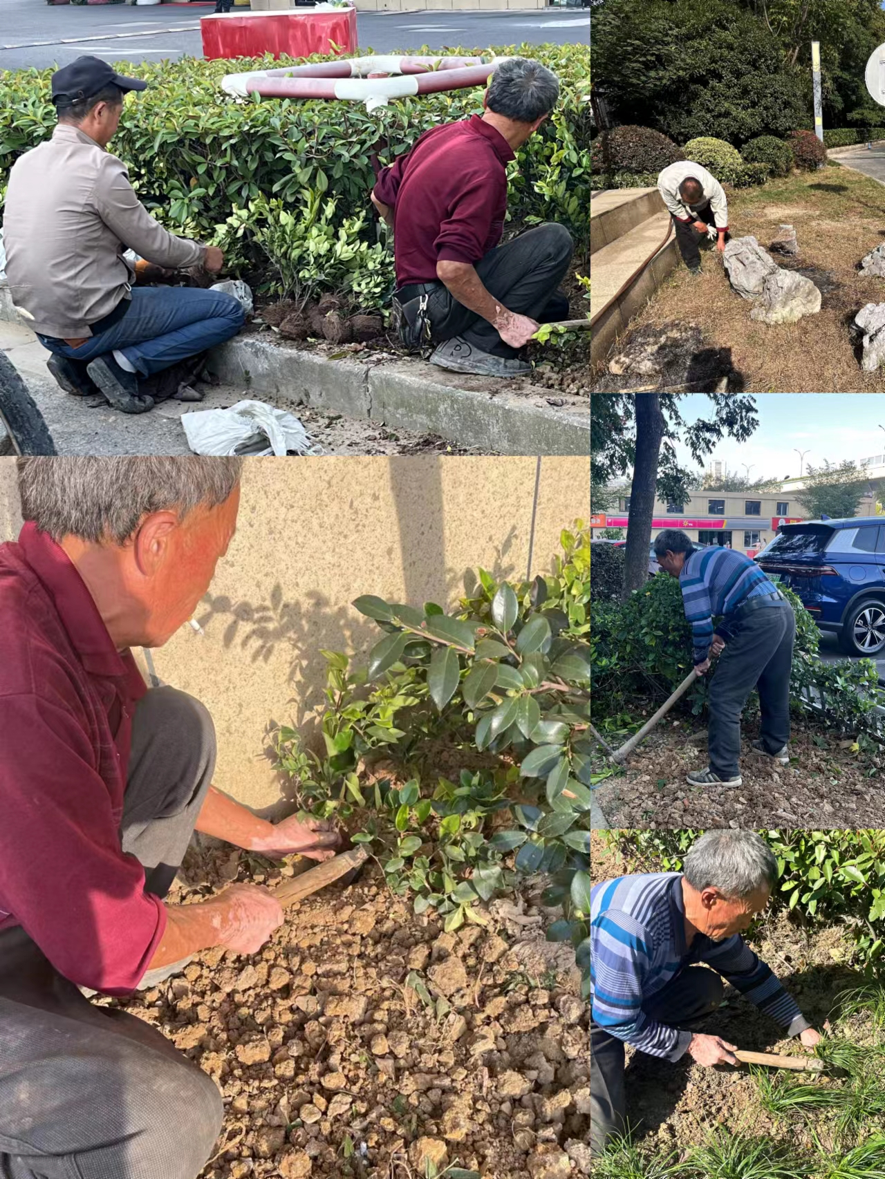 园区情形双升级，，，，，，，焕然新风提水准