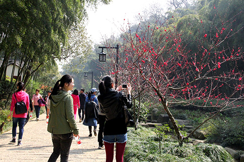 20150329爬山运动 (6).jpg