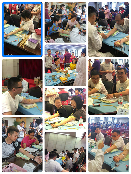 20170703利记官网平台入口文创集团党总支加入无偿献血运动 (2).jpg